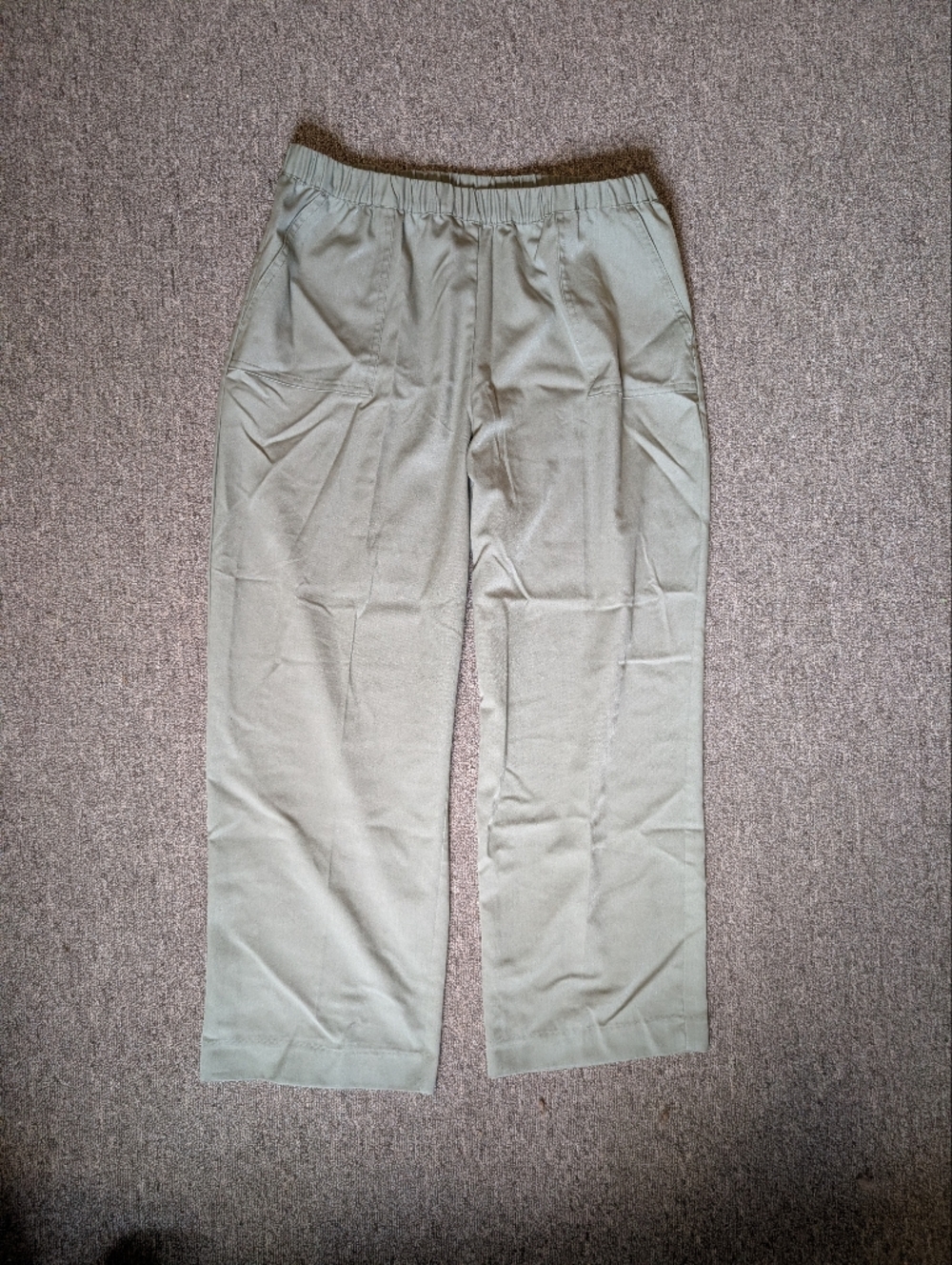 Alfred Dunner Petite Green Pull On Elastic Waist Pants